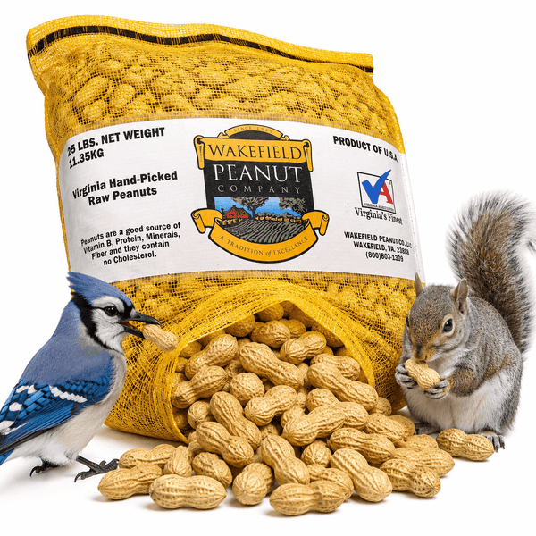 Wakefield Virginia Peanuts 25 lb in-shell animal peanuts with squirrel, blue jay, and bulk backyard peanuts