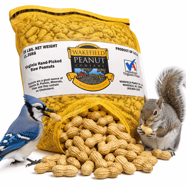 Wakefield Virginia Peanuts 25 lb in-shell animal peanuts with squirrel, blue jay, and bulk backyard peanuts