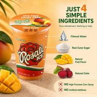 Rosati Ice Mango Ice 10oz cup on a warm beige background with fruit graphics and text highlighting simple ingredients: filtered water, real cane sugar, natural fruit flavor, and natural color.
