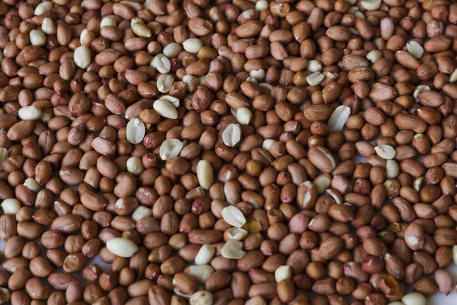 Close-up of raw unsalted shelled Wakefield peanuts for wildlife feeding