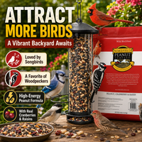 Wakefield peanut, cranberry and raisin bird seed attracting cardinals, woodpeckers and songbirds