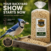 Wakefield 10 lb wildlife peanut feed beside a Blue Jay at a backyard feeder