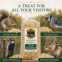 Wakefield animal-grade raw peanuts for squirrels, Blue Jays, woodpeckers and chipmunks