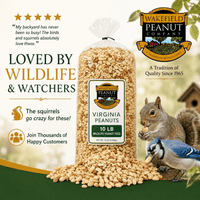 Wakefield wildlife peanut feed shown with a squirrel and Blue Jay in a backyard setting