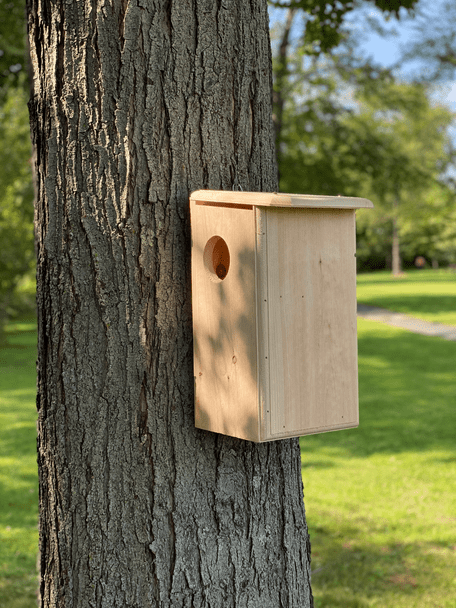 Wakefield Premium Squirrel House Nesting Box